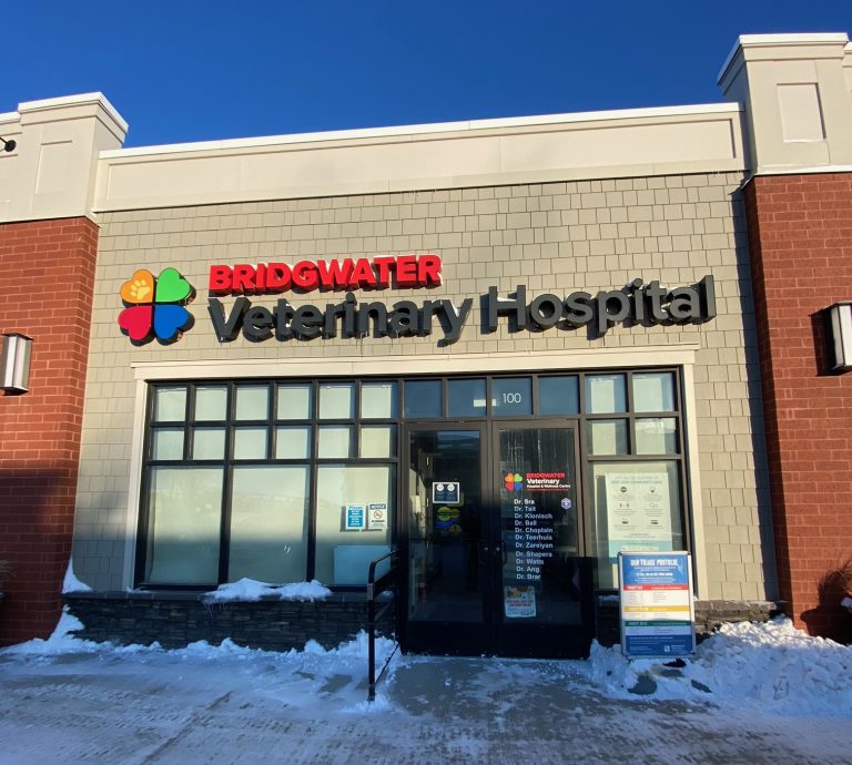 Bridgewater Veterinary Hospital Hedman Construction